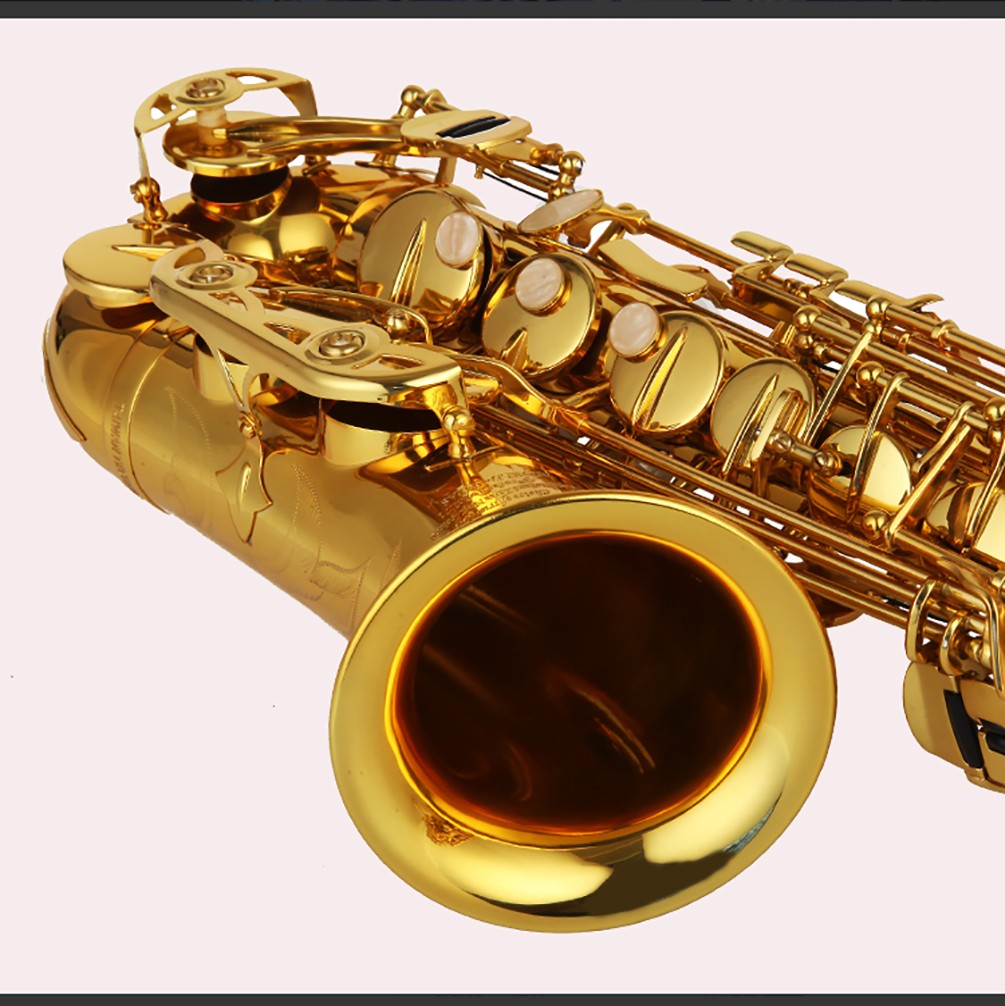 1601730860164272.jpg 1601730860164272.jpg