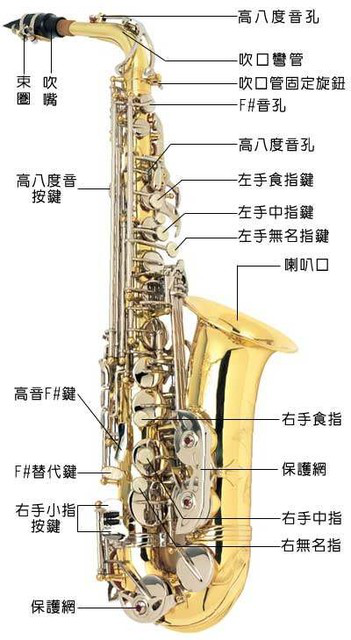 薩克斯結(jié)構(gòu) 薩克斯結(jié)構(gòu)